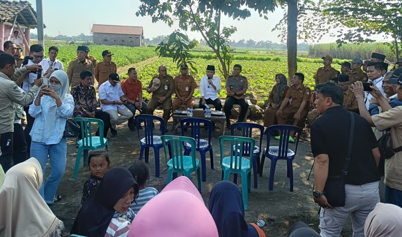 Bupati Jember Muhammad Fawait menyapa warga di desa Wonojati