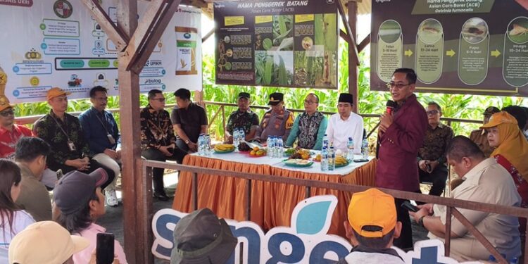 Bupati Jember Muhammad Fawait saat dialog interaktif bersama para petani di Desa Jatisari, Kecamatan Jenggawah, Selasa (26/7/2026).