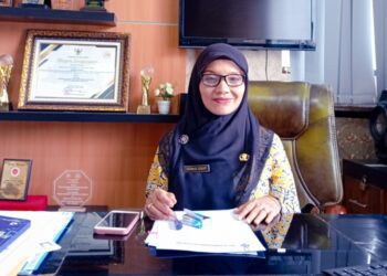 Kepala Dinas Penanaman Modal dan Pelayanan Terpadu Satu Pintu (DPMPTSP) Jember, Isnaini Dwi Susanti.
