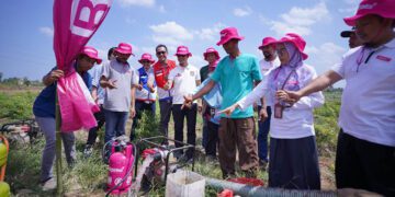 PT Pertamina Patra Niaga Regional Sulawesi memperluas pemanfaatan LPG nonsubsidi melalui peluncuran program Bright Gas untuk petani di Kabupaten Gowa, Rabu (12/8/2026).