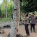 Polsek Popayato menggerebek lokasi yang diduga menjadi tempat judi sabung ayam di Desa Milongoda’a, Kecamatan Popayato Timur, Kabupaten Pohuwato, Ahad (16/8/2026).