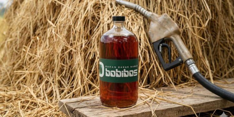 Bobibos. (ANTARA/HO-ESDM)