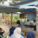 Mahasiswa Kuliah Kerja Nyata (KKN) Tematik Tahap II Universitas Negeri Gorontalo (UNG) Tahun 2026 melaksanakan Sekolah Lapang Budidaya Sorgum Adaptif Iklim di Dusun Sakulati, Desa Tolotio, Kecamatan Tibawa, Kabupaten Gorontalo, Sabtu (5/9/2026). (F.Istimewa)