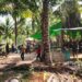 Pembubaran lokasi perjudian ayam di Kecamatan Paguat, Sabtu (05/09/206) (Istimewa)
