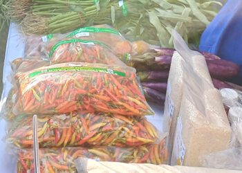 Kenaikan harga cabai rawit ikut memberikan dampak terhadap nilai tukar petani di Gorontalo.