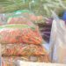Kenaikan harga cabai rawit ikut memberikan dampak terhadap nilai tukar petani di Gorontalo.
