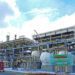 Area Kilang Hijau di Pertamina Patra Niaga Refinery Unit (RU) Cilacap, Jawa Tengah. ANTARA/HO-Kilang CIlacap
