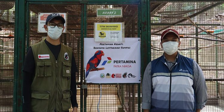 PT Pertamina Patra Niaga Regional Sulawesi melalui Integrated Terminal (IT) Bitung terus memperkuat komitmennya dalam menjaga keanekaragaman hayati melalui program konservasi burung Sampiri, atau Nuri Talaud (Eos histrio talautensis), satwa endemik yang menjadi bagian penting dari kekayaan alam Sulawesi Utara.