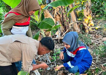 Eksplorasi dan Konservasi Flora Sulawesi yang dilaksanakan oleh Pertamina Patra Niaga Regional Sulawesi melalui Aviation Fuel Terminal (AFT) Hasanuddin bersama UPT Kebun Raya Pucak di Kabupaten Bone, Sulawesi Selatan, pada 8–9 September 2026.