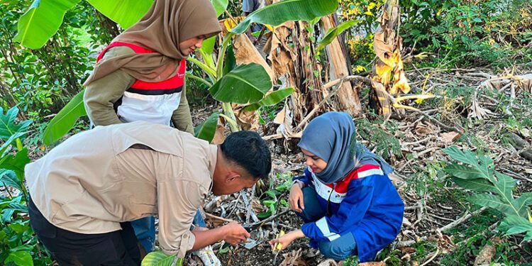 Eksplorasi dan Konservasi Flora Sulawesi yang dilaksanakan oleh Pertamina Patra Niaga Regional Sulawesi melalui Aviation Fuel Terminal (AFT) Hasanuddin bersama UPT Kebun Raya Pucak di Kabupaten Bone, Sulawesi Selatan, pada 8–9 September 2026.