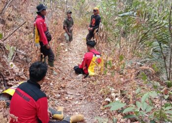 Tim gabungan berupaya memadamkan api di lokasi karhutla Desa Pelita Hijau, Bone Bolango, Gorontalo.