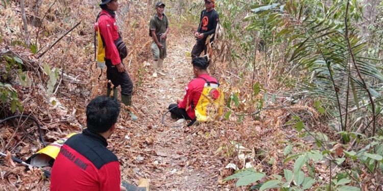 Tim gabungan berupaya memadamkan api di lokasi karhutla Desa Pelita Hijau, Bone Bolango, Gorontalo.